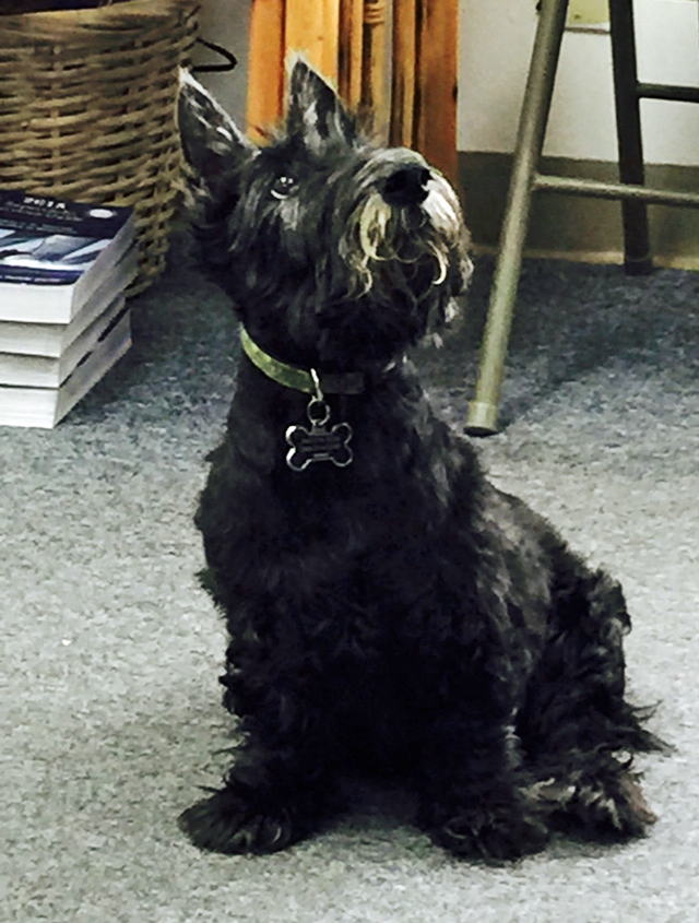 Reefco Marine Air Conditioning Refrigeration Watermakers